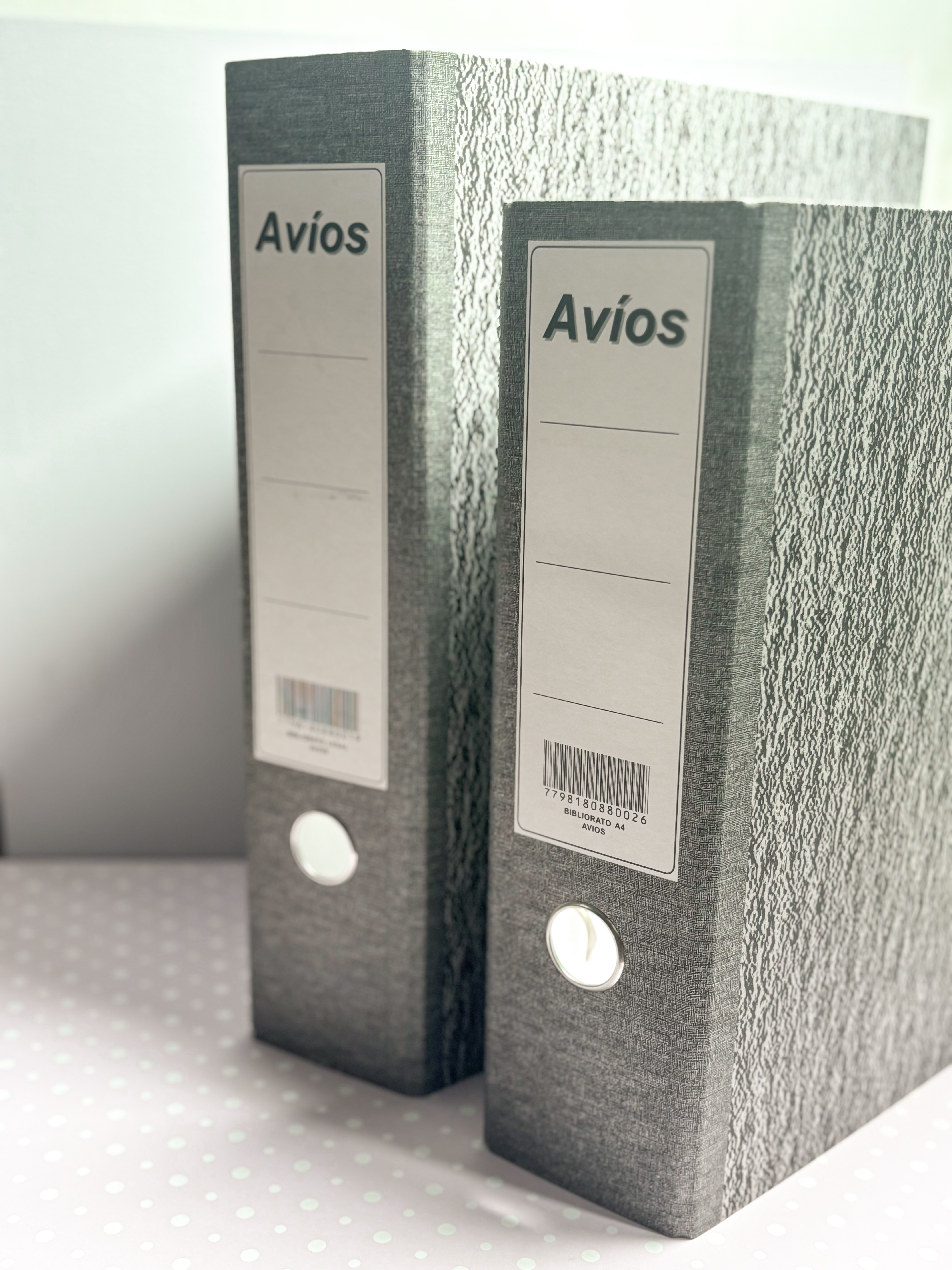 Bibliorato A4 Avios carton gris