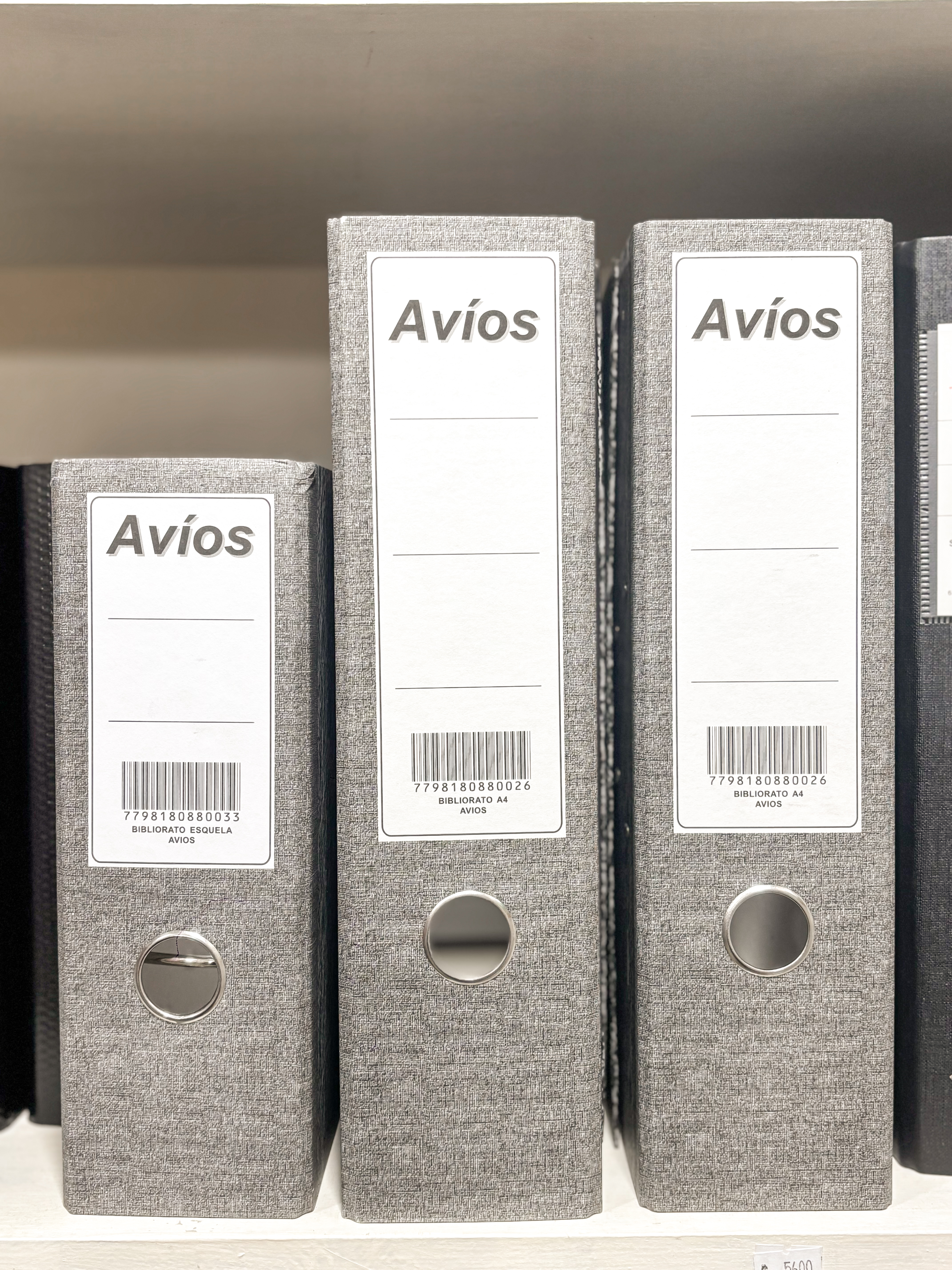 Bibliorato A4 Avios carton gris